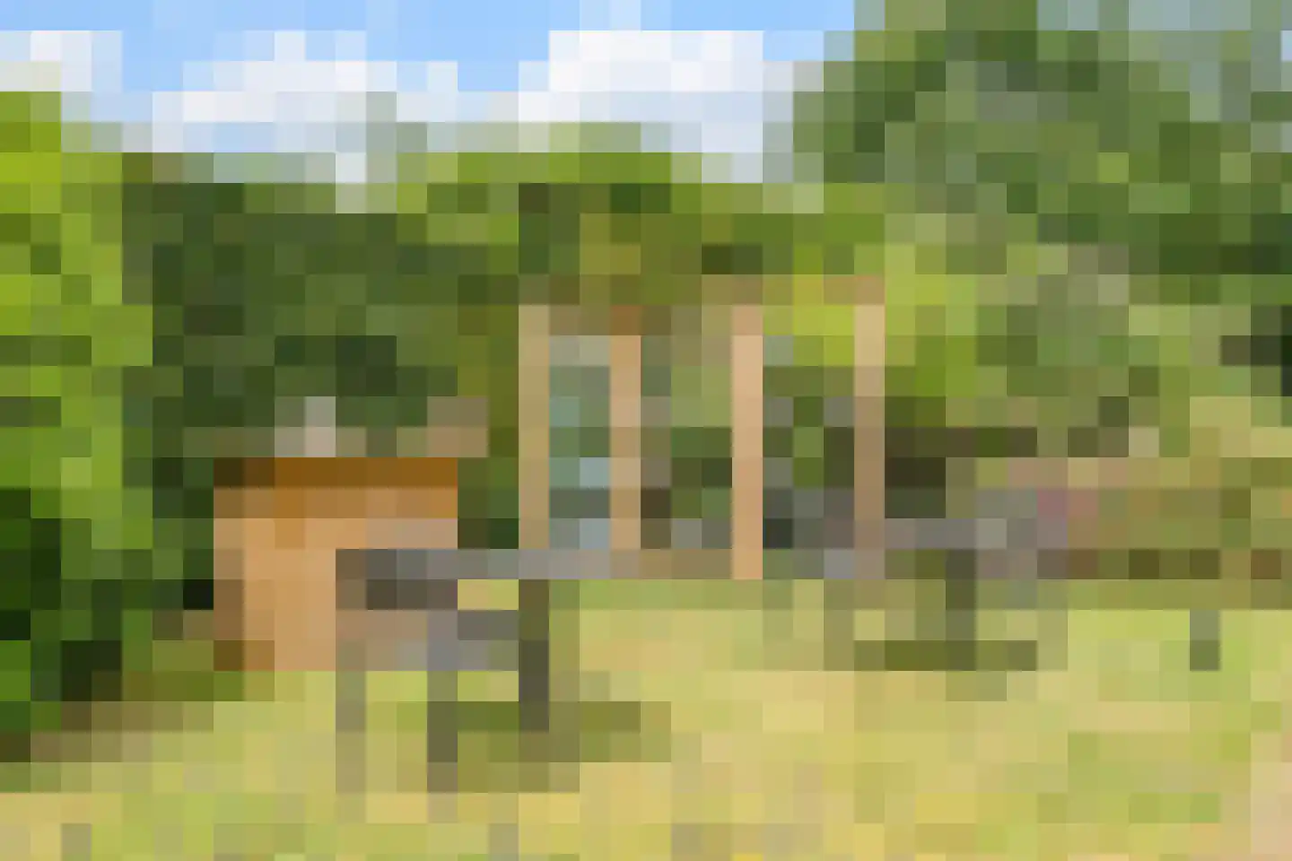 Noord-Oosterweg 25 Radewijk thumbnail 72