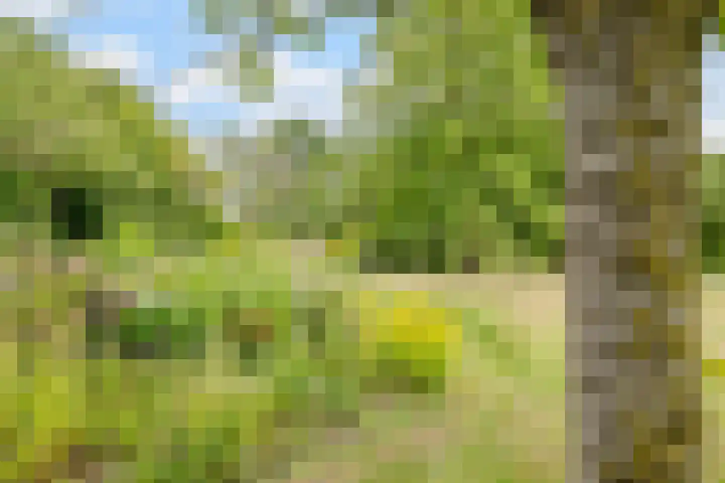 Noord-Oosterweg 25 Radewijk thumbnail 73