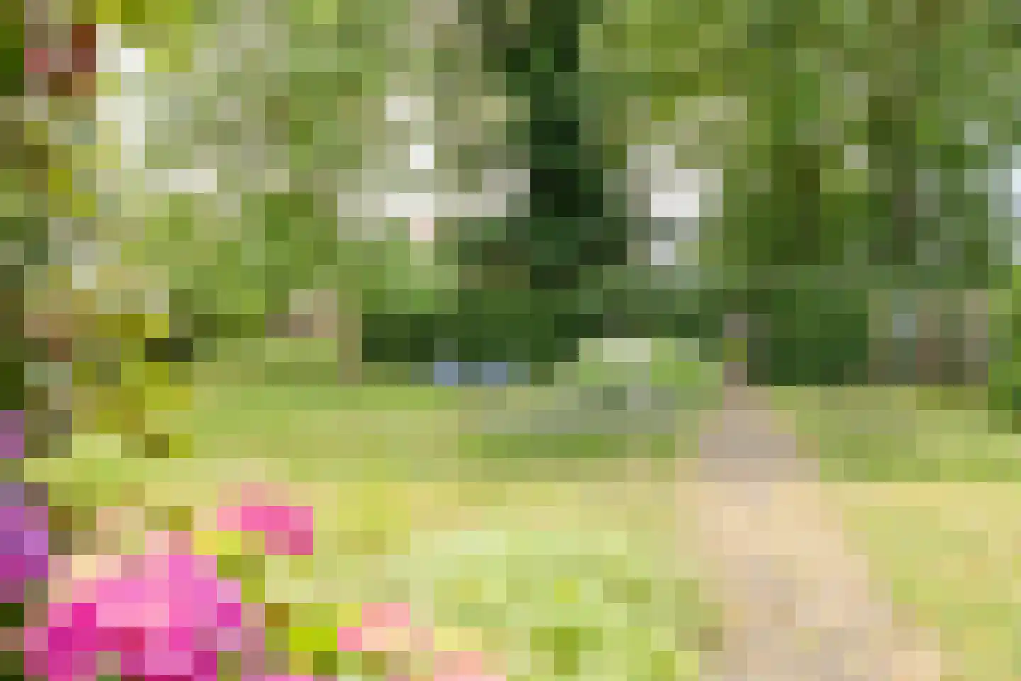 Noord-Oosterweg 25 Radewijk thumbnail 74