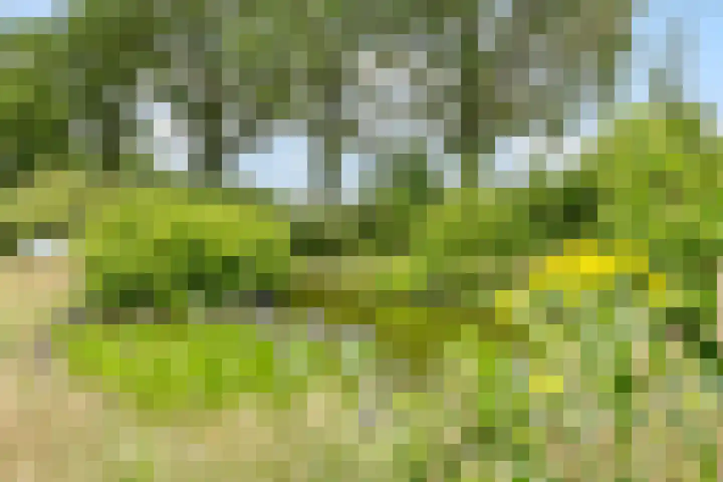 Noord-Oosterweg 25 Radewijk thumbnail 75