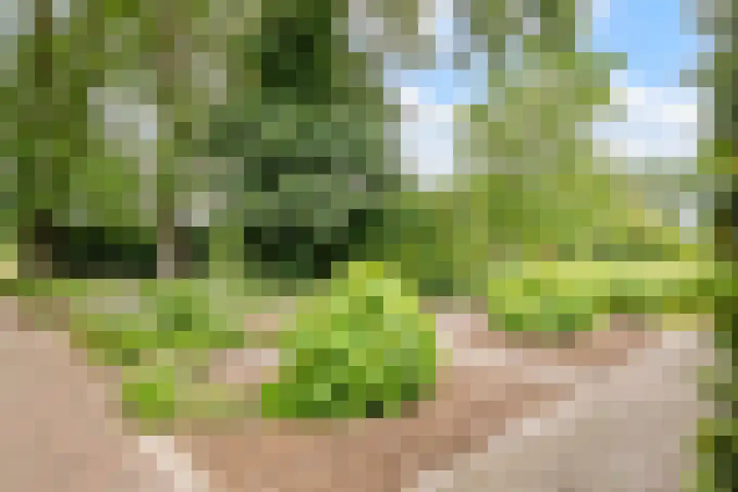 Noord-Oosterweg 25 Radewijk thumbnail 76
