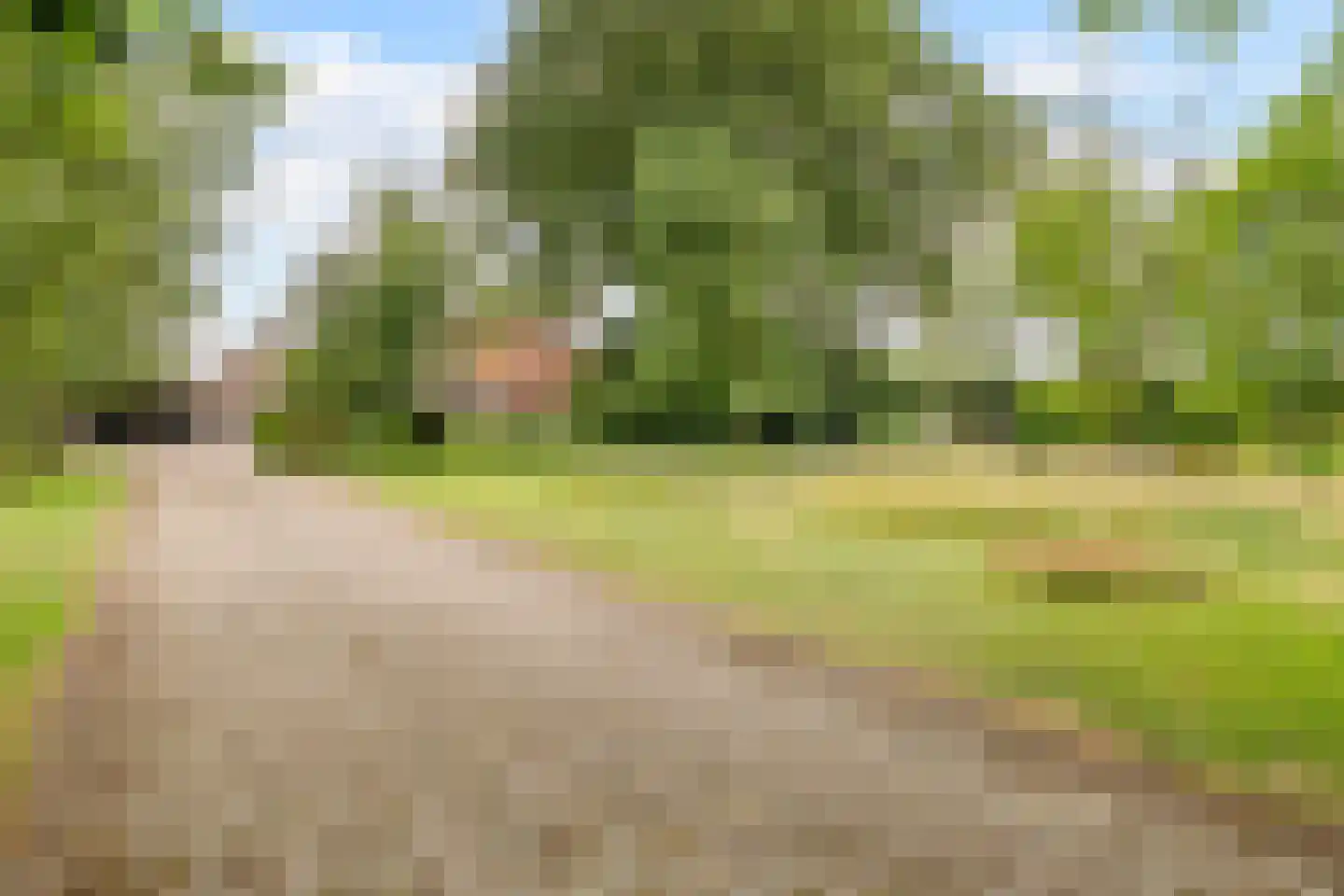 Noord-Oosterweg 25 Radewijk thumbnail 77