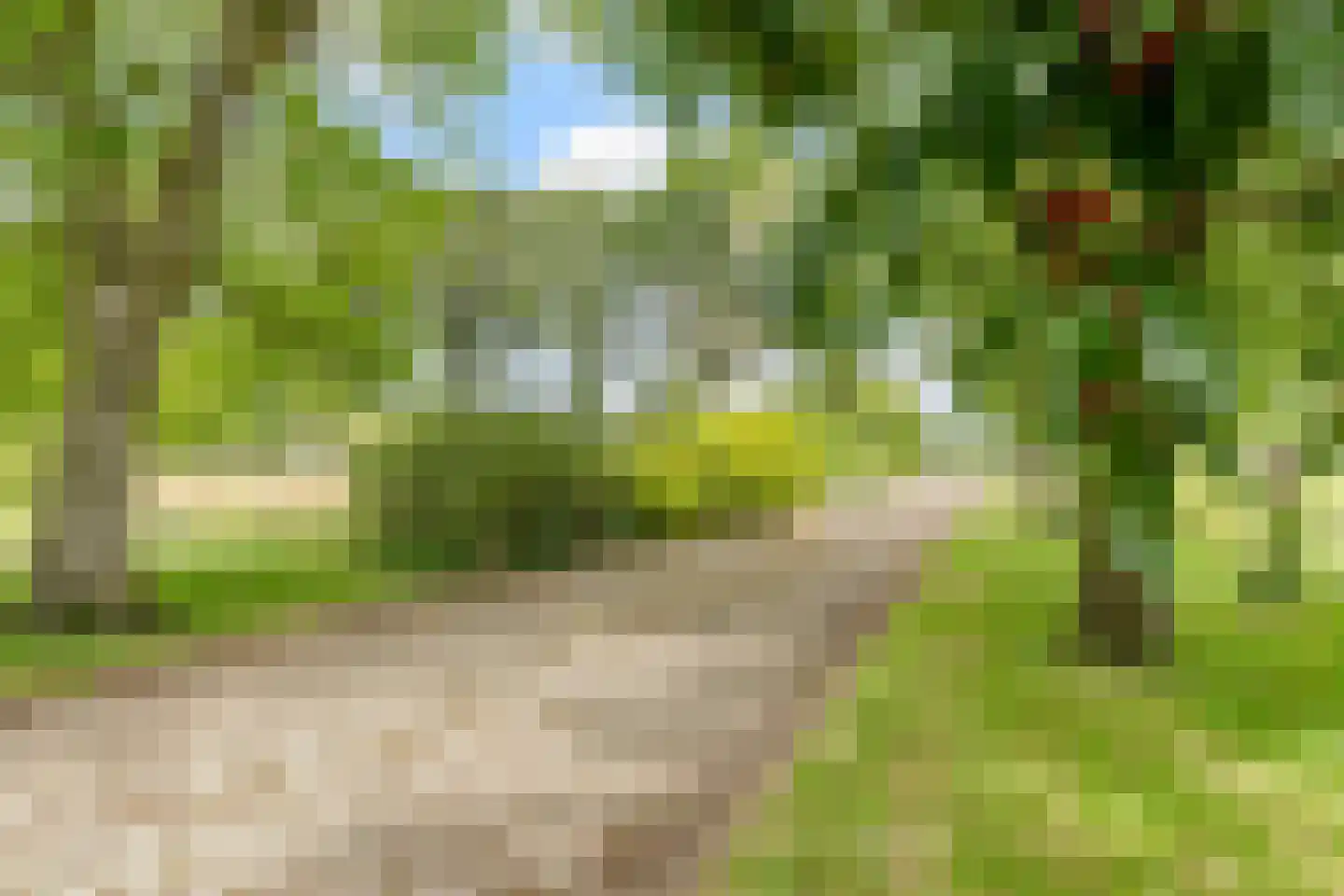 Noord-Oosterweg 25 Radewijk thumbnail 78