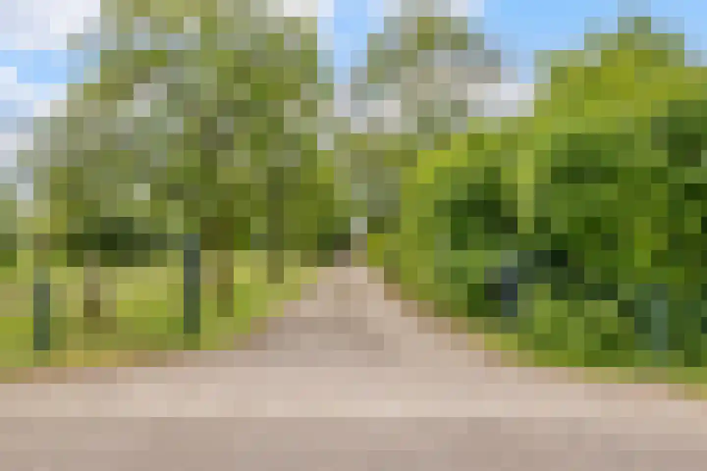 Noord-Oosterweg 25 Radewijk thumbnail 79