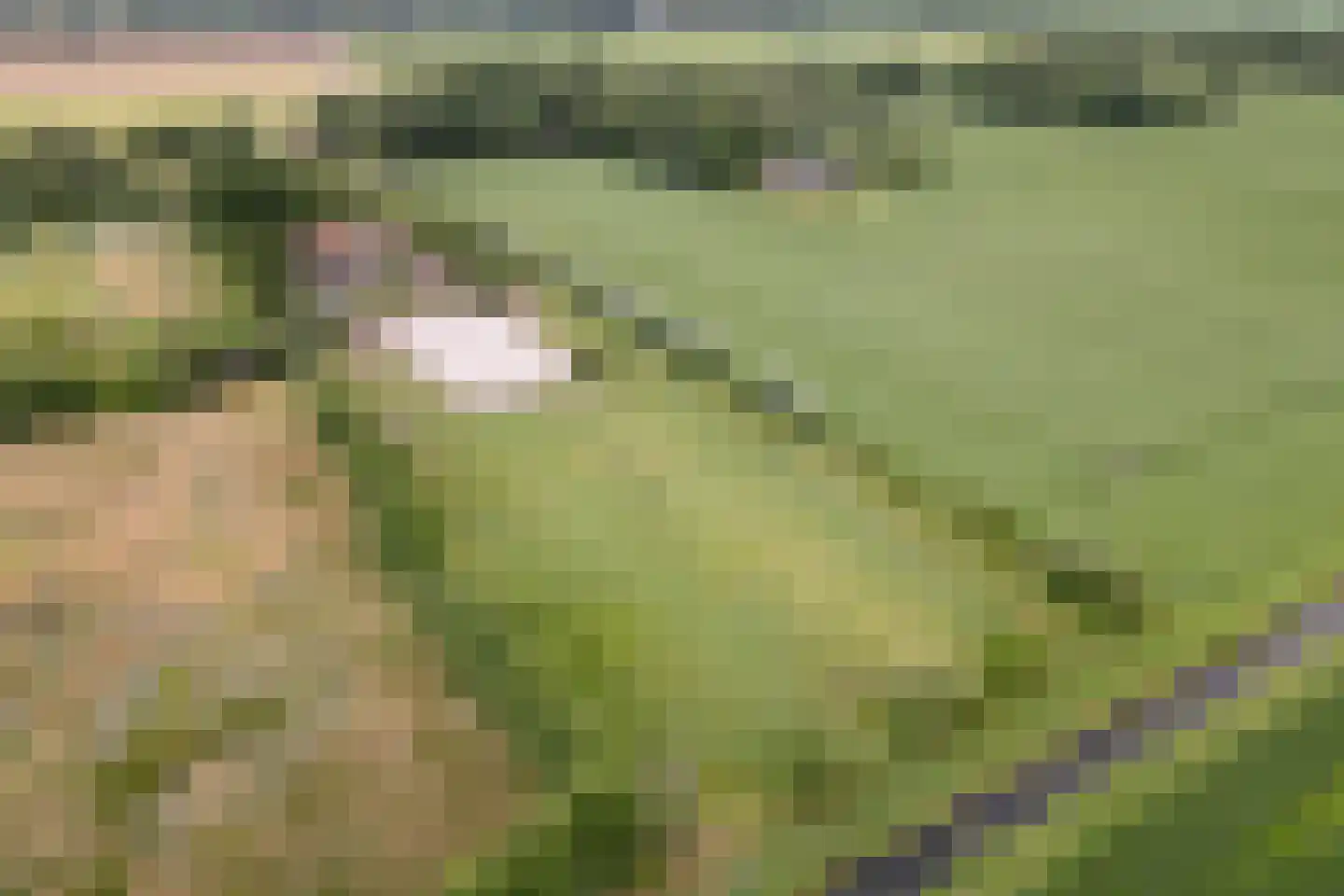 Noord-Oosterweg 25 Radewijk thumbnail 81