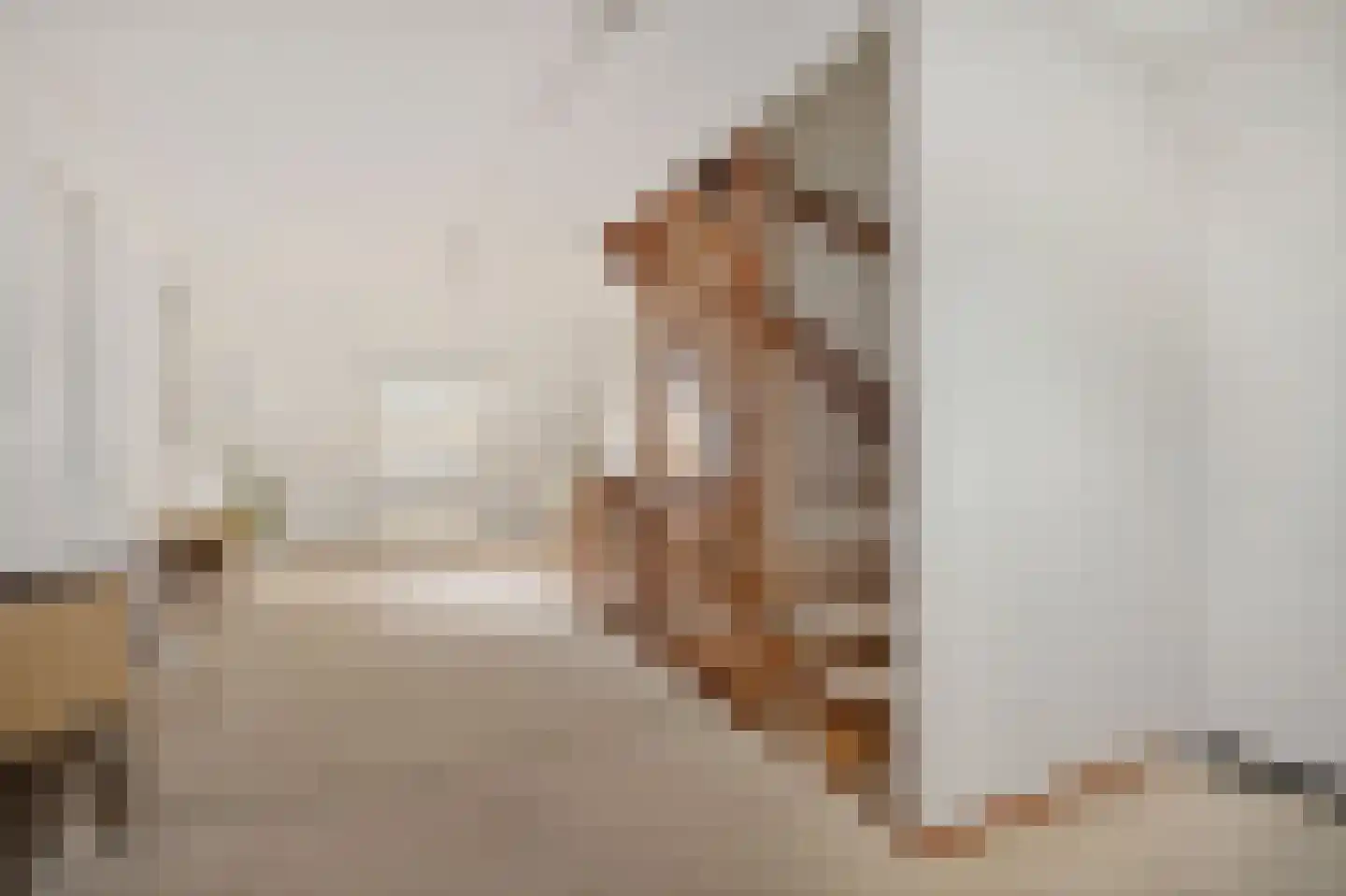 Noord-Oosterweg 8 Radewijk thumbnail 33