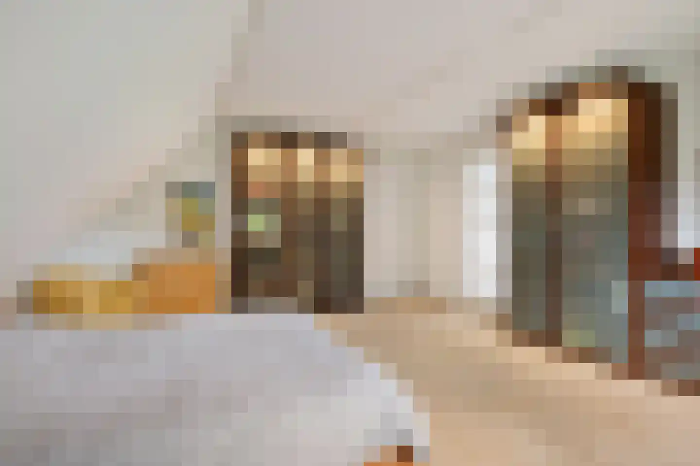 Noord-Oosterweg 8 Radewijk thumbnail 37