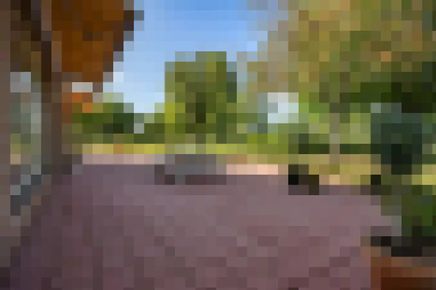 Noord-Oosterweg 8 Radewijk thumbnail 59