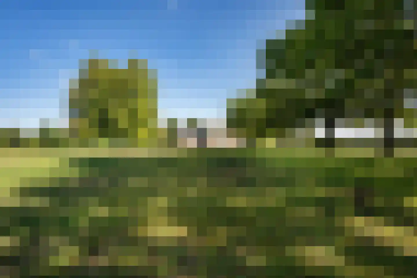 Noord-Oosterweg 8 Radewijk thumbnail 69