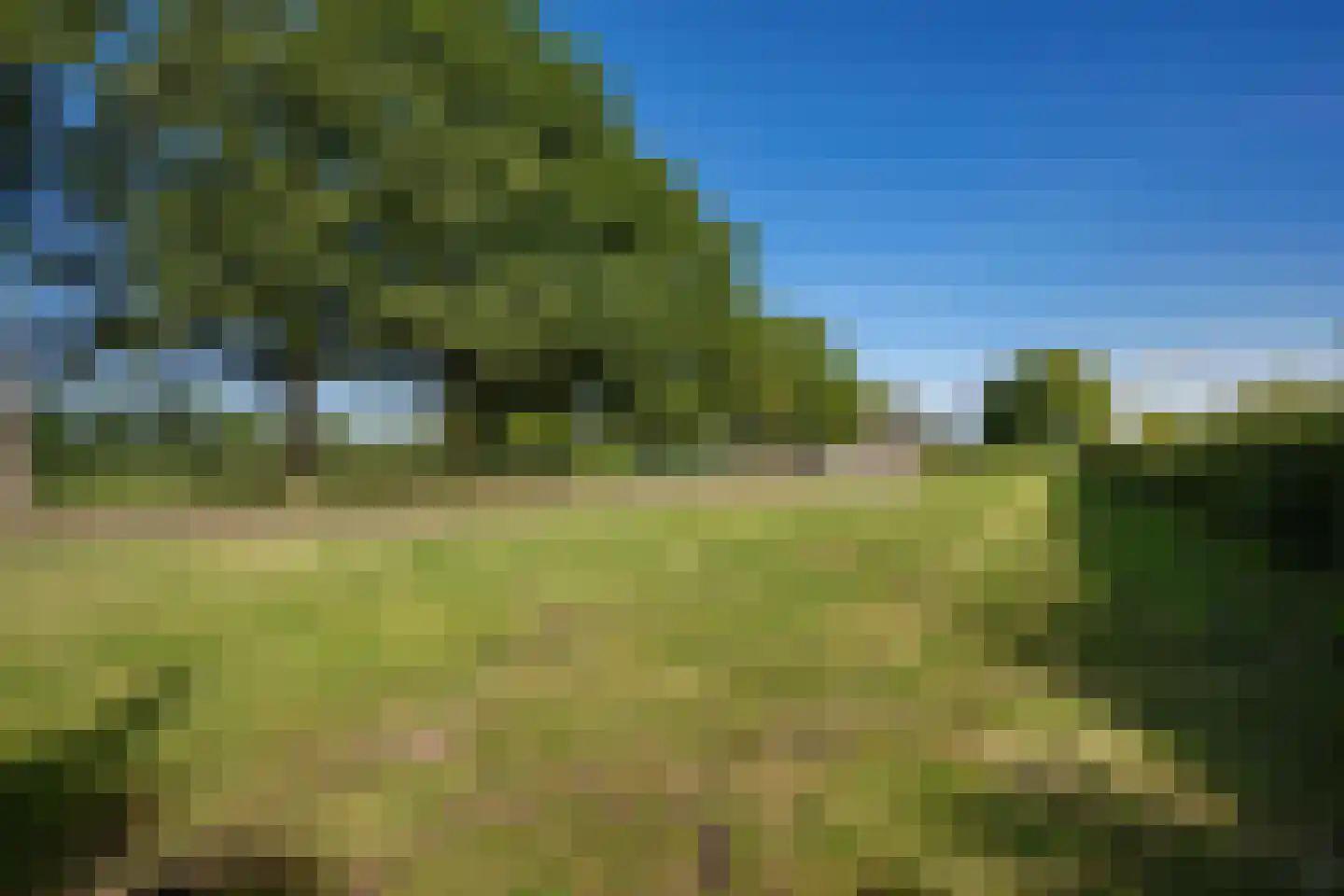 Noord-Oosterweg 8 Radewijk thumbnail 81