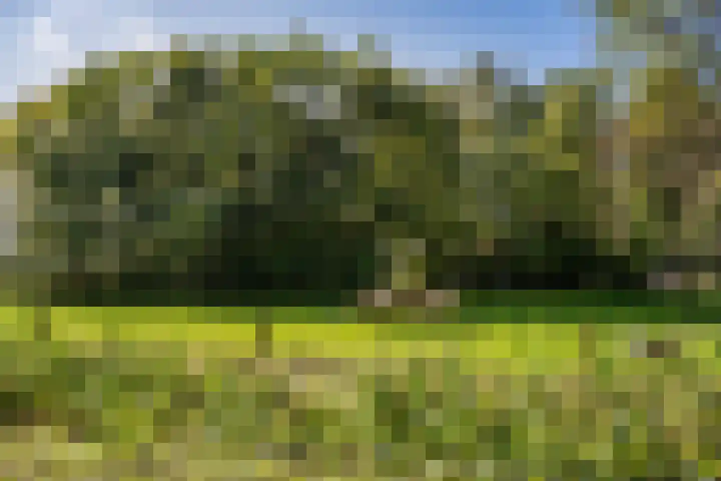 Noord-Oosterweg 8 Radewijk thumbnail 82
