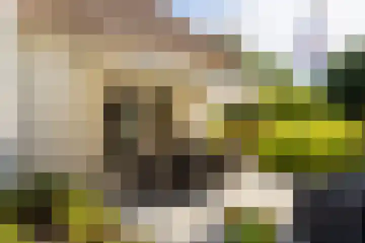 Noord Parallelweg 22 Helmond thumbnail 20