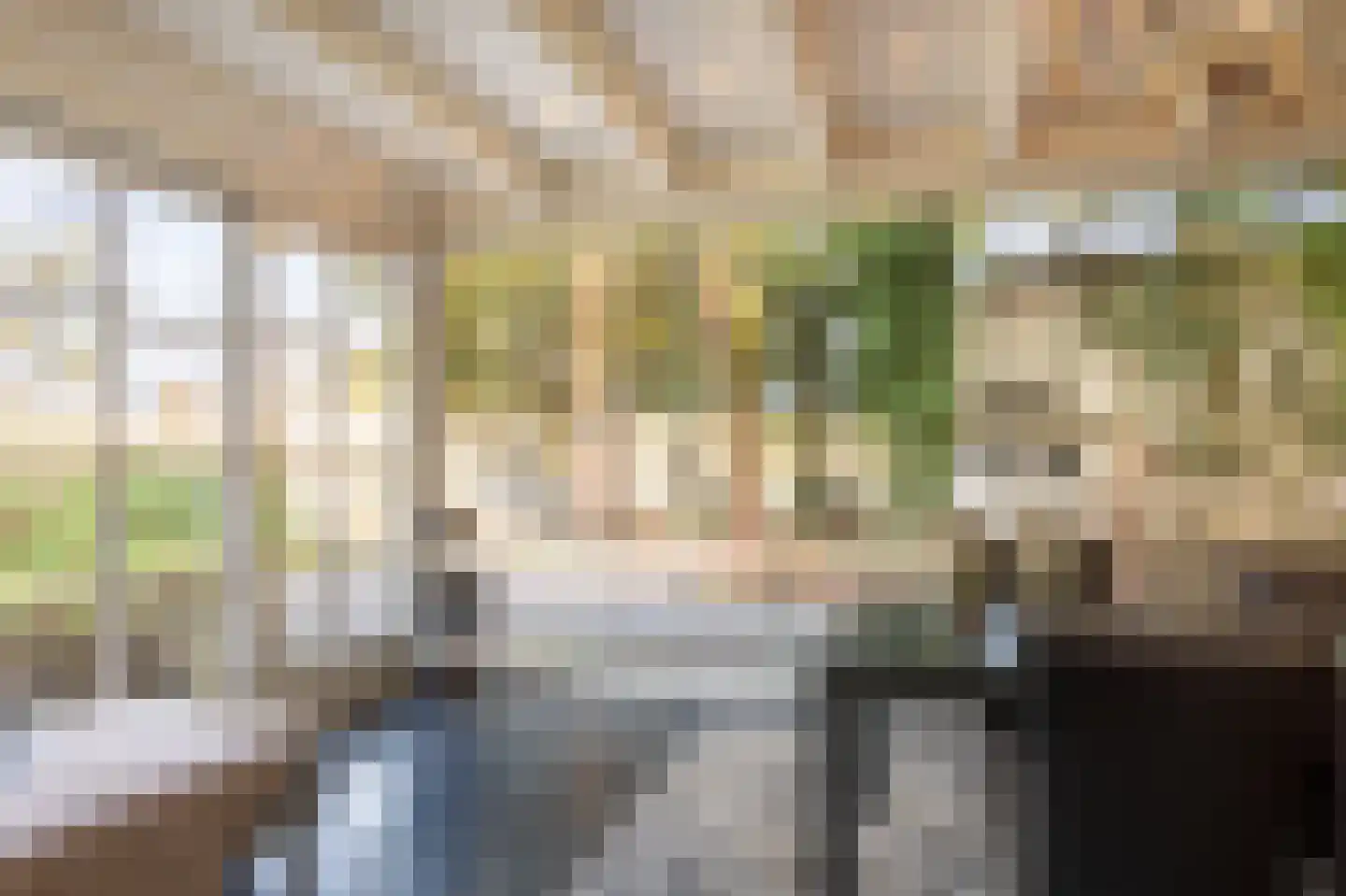 Noord Parallelweg 22 Helmond thumbnail 29