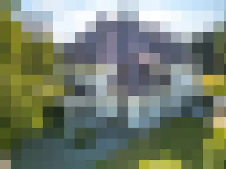 Noord Parallelweg 22 Helmond thumbnail 43