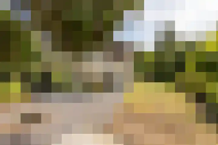 Noord Parallelweg 22 Helmond thumbnail 44