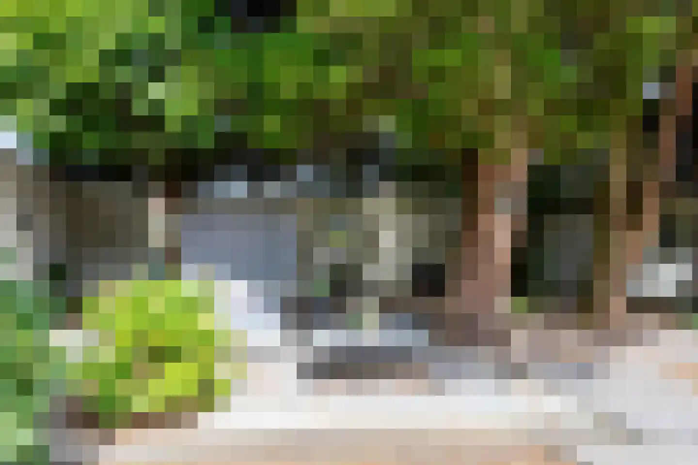 Noord Parallelweg 22 Helmond thumbnail 45
