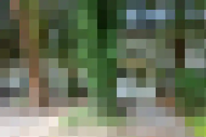 Noord Parallelweg 22 Helmond thumbnail 46