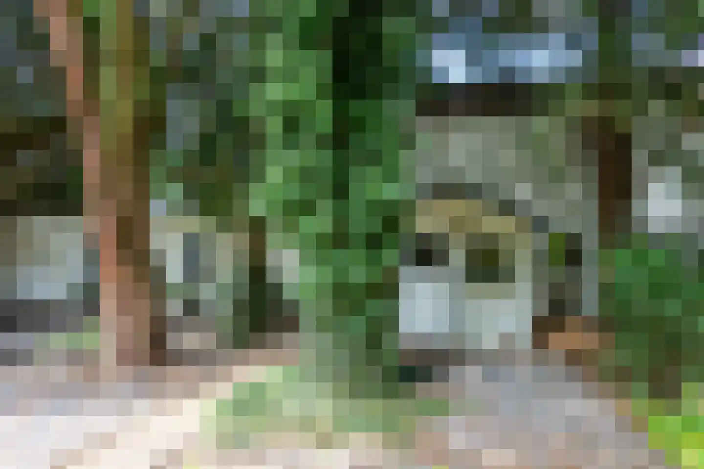 Noord Parallelweg 22 Helmond thumbnail 46