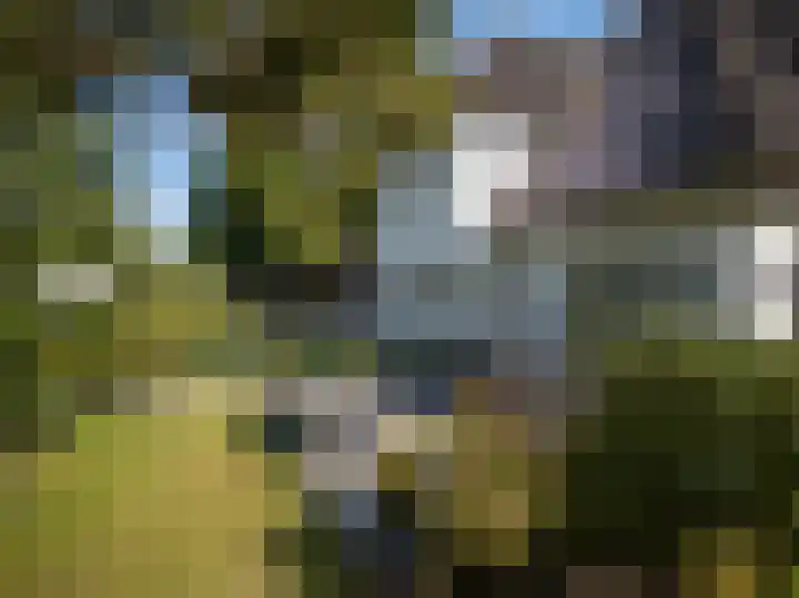 Noord Parallelweg 22 Helmond thumbnail 48