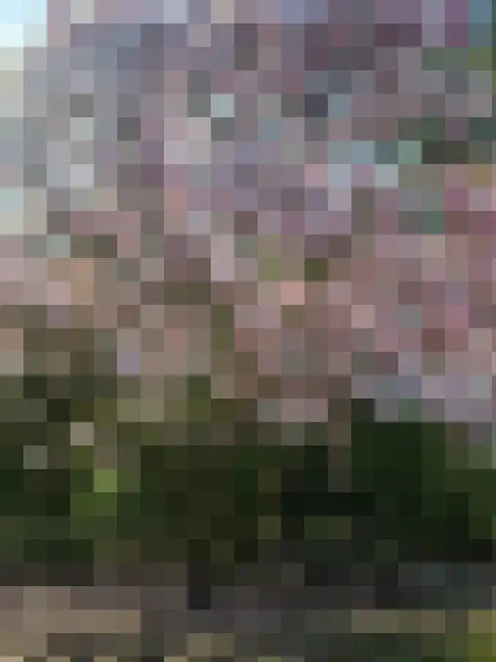 Noord Parallelweg 22 Helmond thumbnail 53