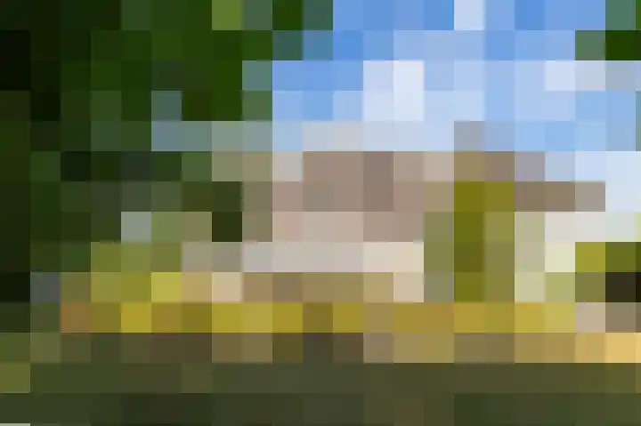 Noord Parallelweg 22 Helmond thumbnail 57