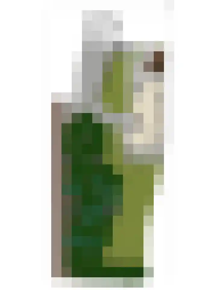Noord Parallelweg 22 Helmond thumbnail 60