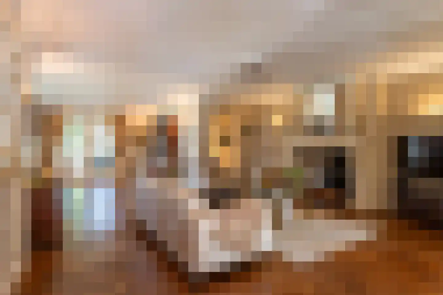 Noord Parallelweg 22 Helmond thumbnail 8
