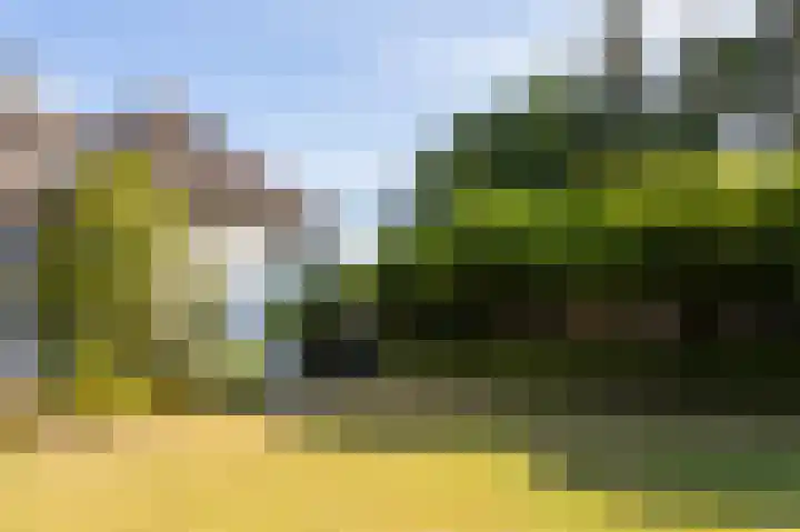 Noord Parallelweg 24 Helmond thumbnail 4