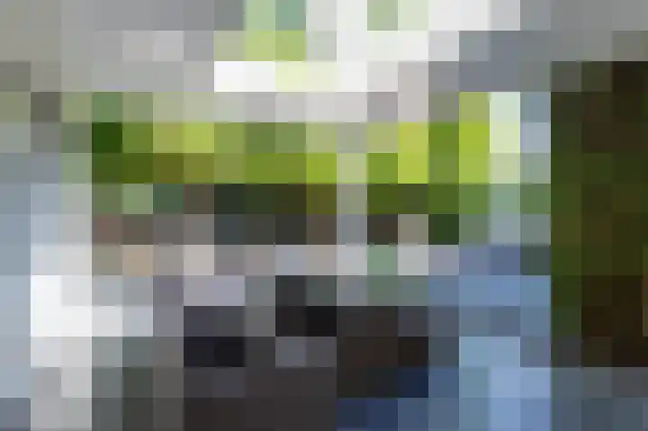 Noord Parallelweg 24 Helmond thumbnail 57