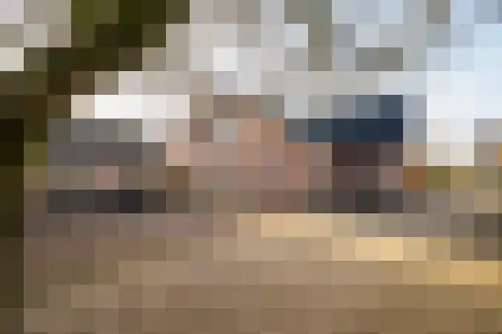 Noord Riezenweg 44 Uddel thumbnail 32