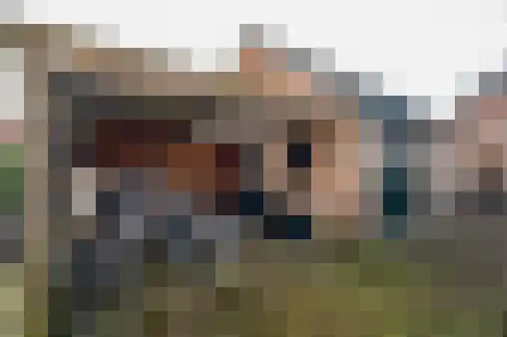 Noord Riezenweg 44 Uddel thumbnail 34
