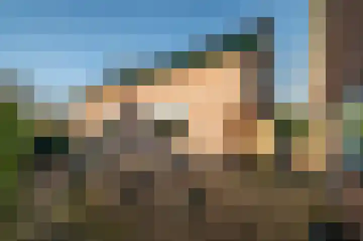 Noord Riezenweg 44 Uddel thumbnail 35
