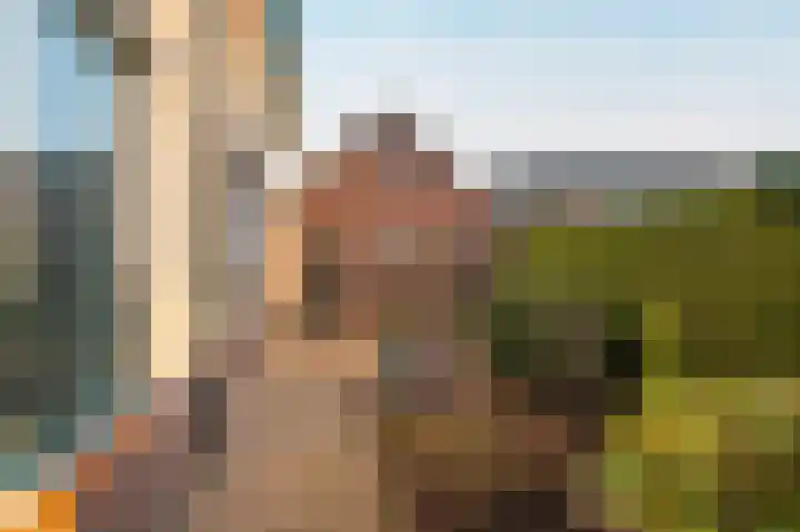 Noord Riezenweg 44 Uddel thumbnail 37