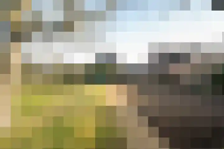 Noord Riezenweg 44 Uddel thumbnail 38