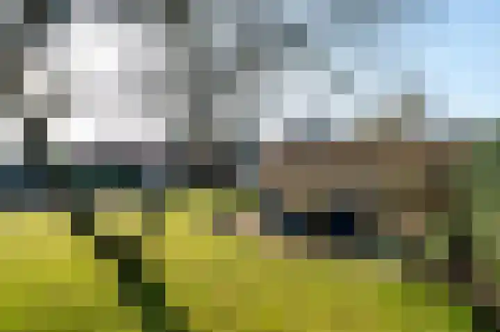 Noord Riezenweg 44 Uddel thumbnail 40
