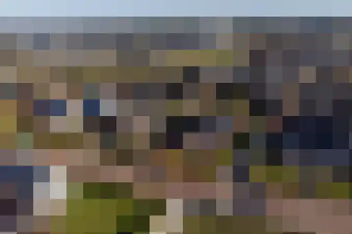 Noord Riezenweg 44 Uddel thumbnail 41