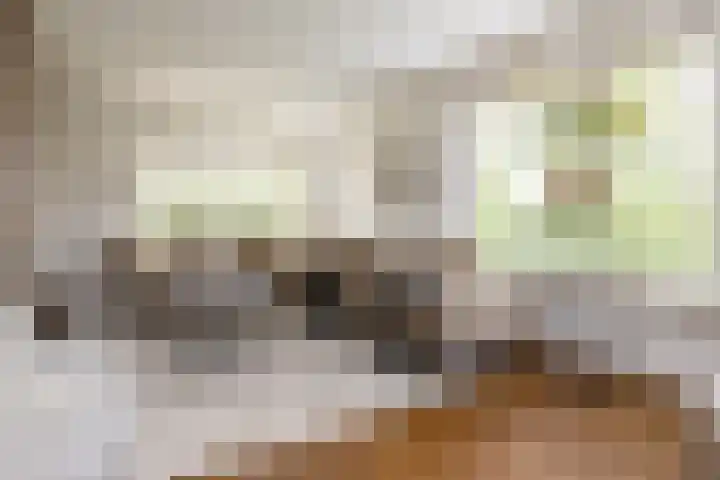 Noord Riezenweg 46 Uddel thumbnail 12