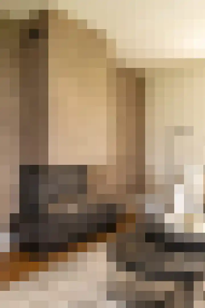 Noord Riezenweg 46 Uddel thumbnail 13