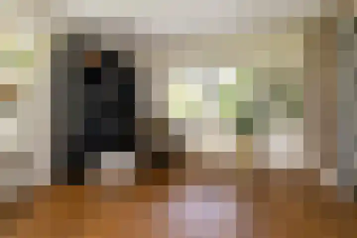 Noord Riezenweg 46 Uddel thumbnail 14