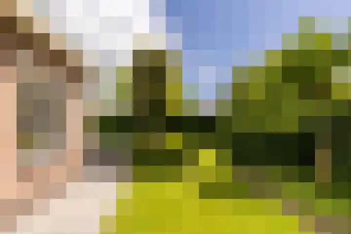 Noord Riezenweg 46 Uddel thumbnail 34