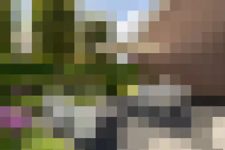 Noord Riezenweg 46 Uddel thumbnail 35