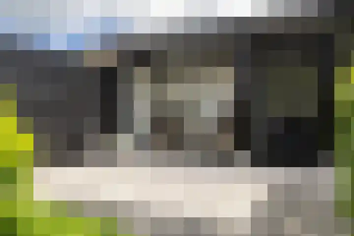 Noord Riezenweg 46 Uddel thumbnail 36