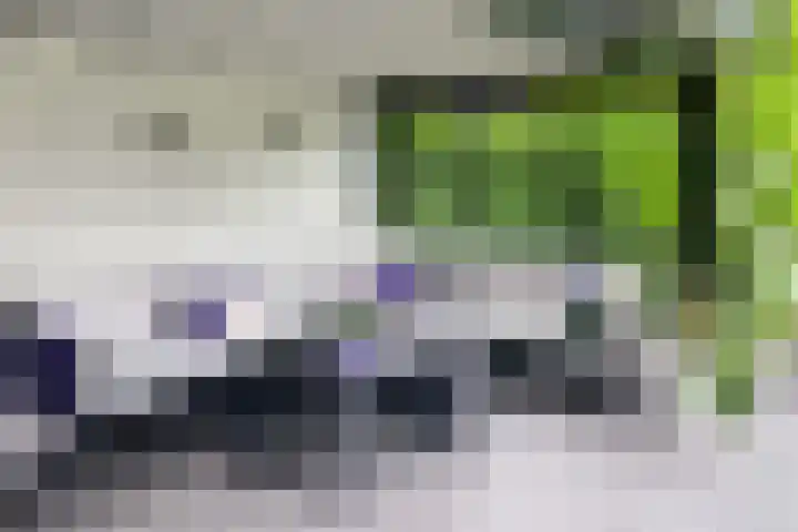Noord Riezenweg 46 Uddel thumbnail 38