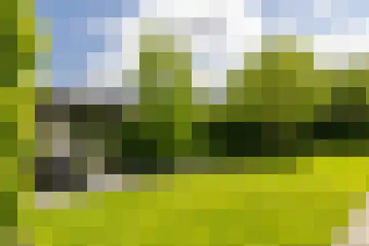 Noord Riezenweg 46 Uddel thumbnail 39