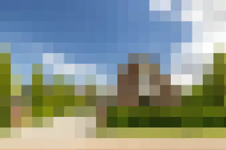 Noord Riezenweg 46 Uddel thumbnail 4