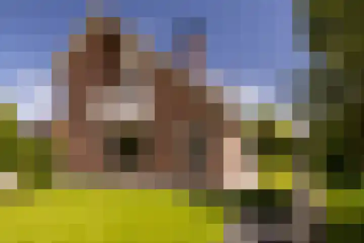 Noord Riezenweg 46 Uddel thumbnail 41