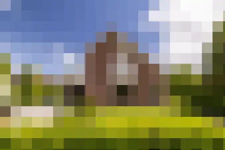 Noord Riezenweg 46 Uddel thumbnail 42