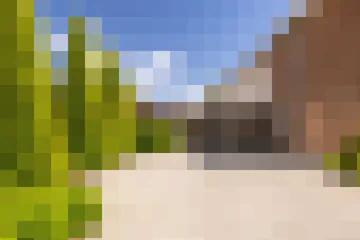 Noord Riezenweg 46 Uddel thumbnail 5