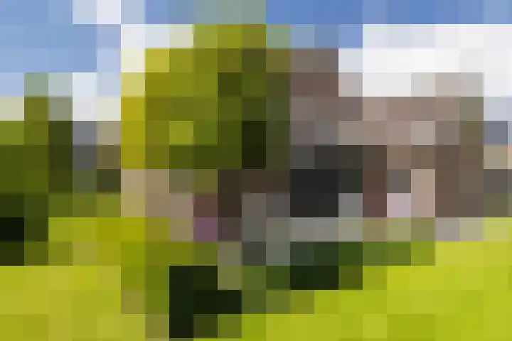 Noord Riezenweg 46 Uddel thumbnail 6