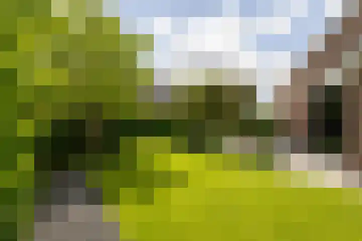 Noord Riezenweg 46 Uddel thumbnail 8